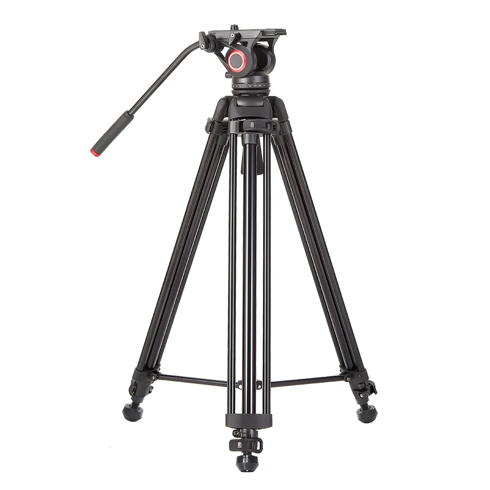 ���������� ������ miliboo MTT606B