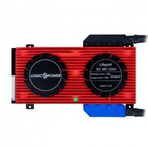BMS ����� LP LiFePO4 48V 16S Dis 200A Ch 100A