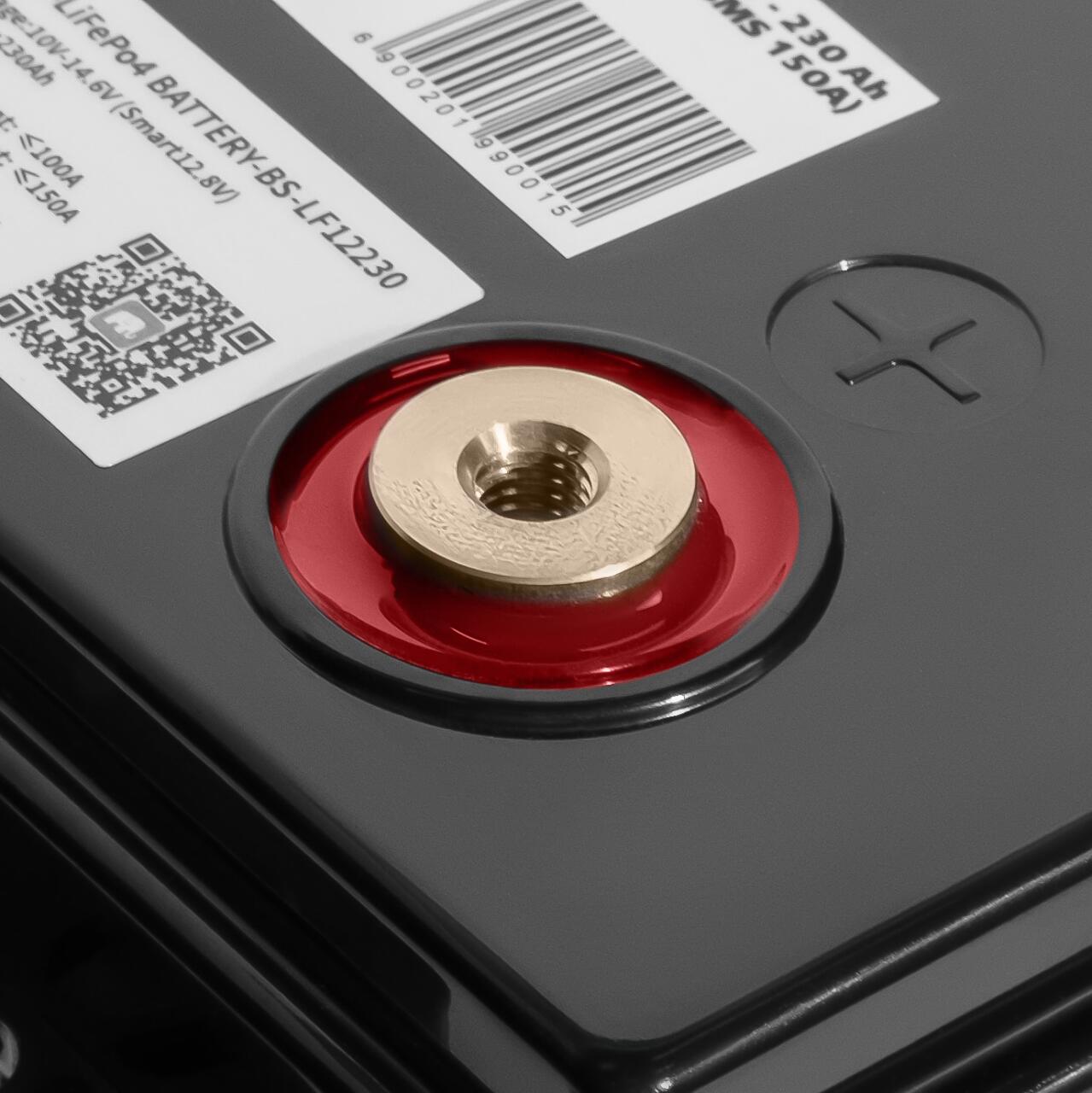 ���������� LP LiFePO4 12V (12,8V) - 230 Ah (2944Wh) (Smart BMS 150�) � BT ������� ��� ���