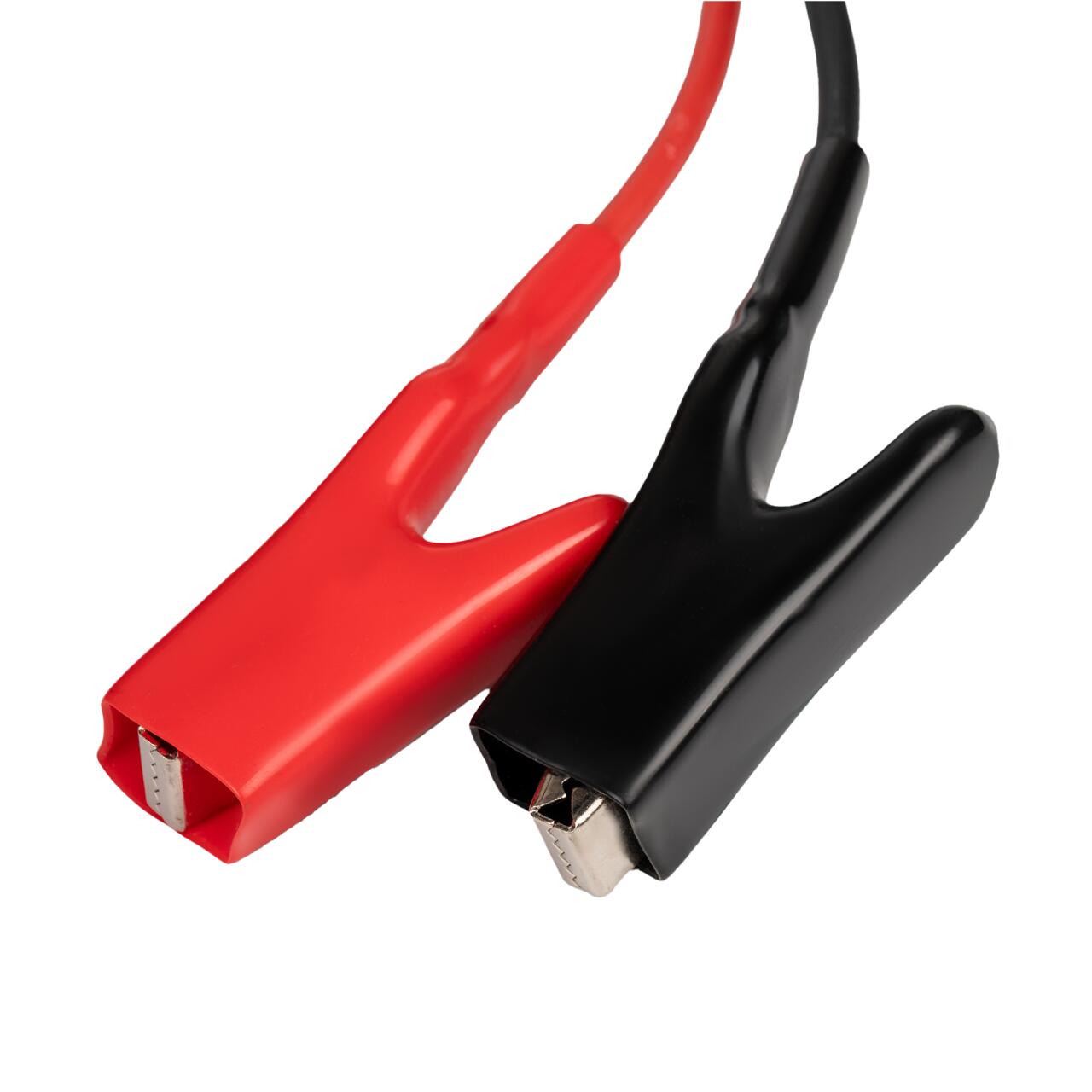 �������� ������� ��� ����������� LiFePO4 48V (58.4V)-30A-1440W-LED