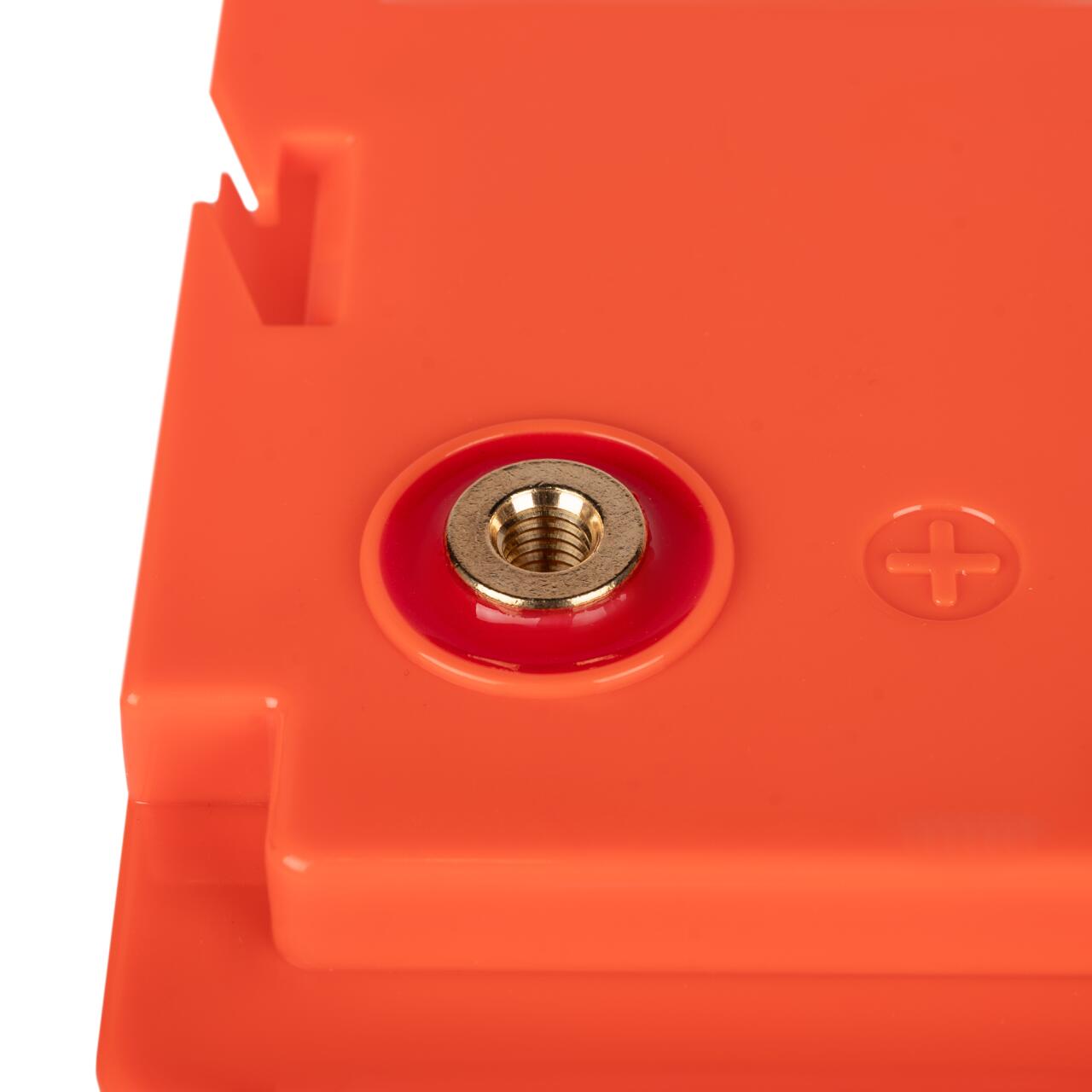 ���������� LP LiFePO4 12,8V - 100 Ah (1280Wh) (BMS 100A/50�) ������� Smart BT