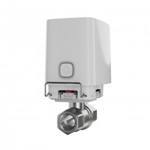 ���� ���������� ���� � ������������ ���������� WaterStop Jeweller 1 (DN 25) (����)