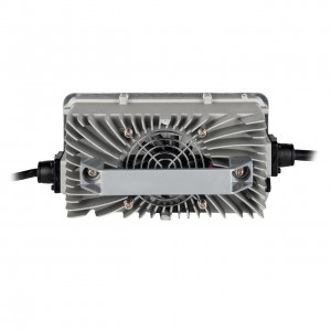 �������� ������� ��� ����������� LiFePO4 12V (14,6V)-20A waterproof