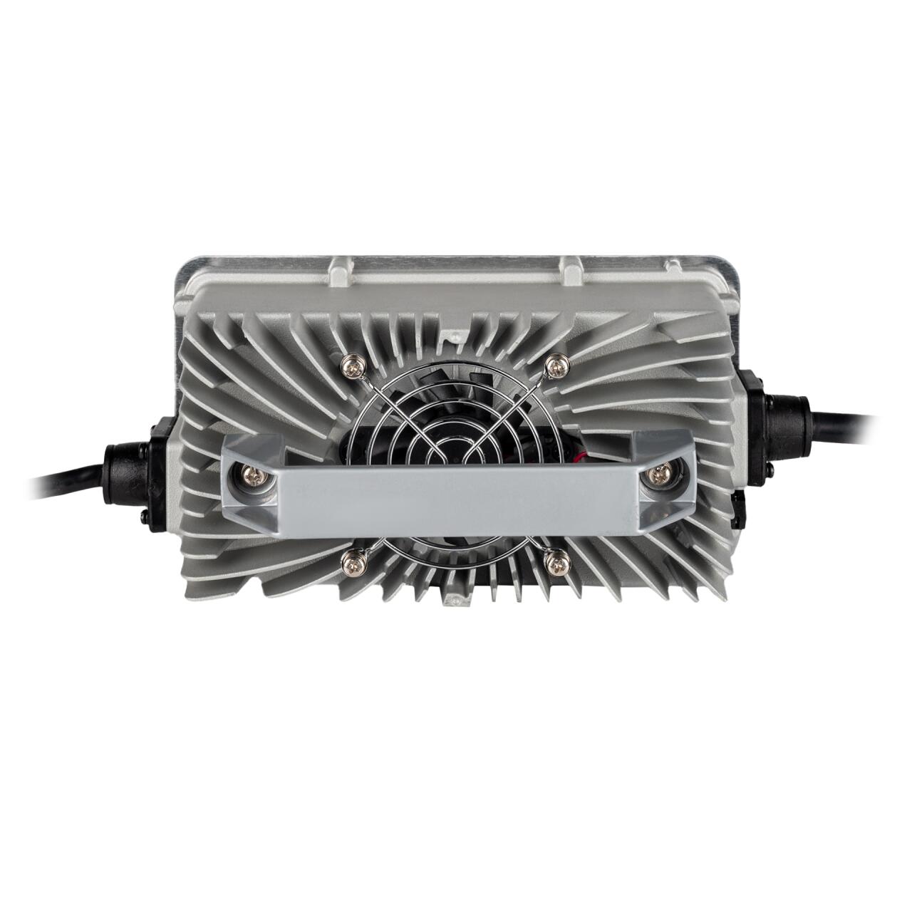 �������� ������� ��� ����������� LiFePO4 24V (25,2V)-20A waterproof