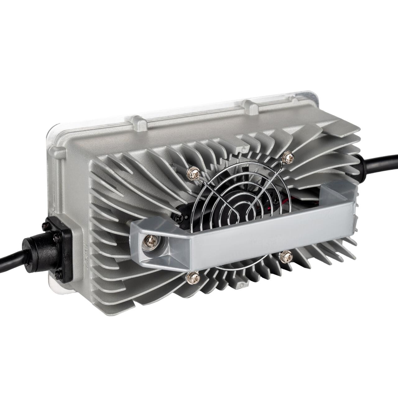 �������� ������� ��� ����������� LiFePO4 24V (25,2V)-20A waterproof
