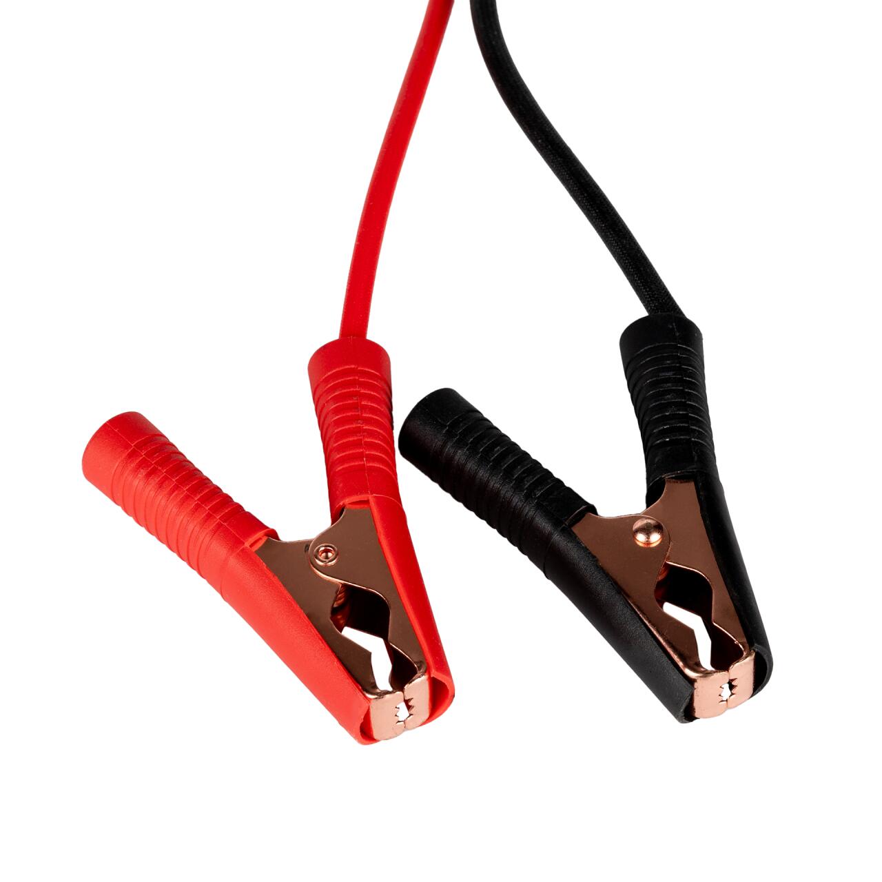 �������� ������� ��� ����������� LiFePO4 24V (25,2V)-20A waterproof