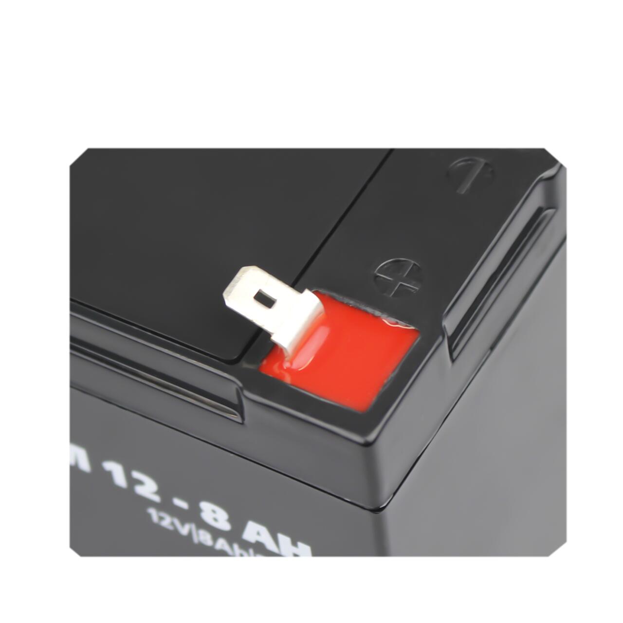 ���������� AGM LPM 12V - 8 Ah